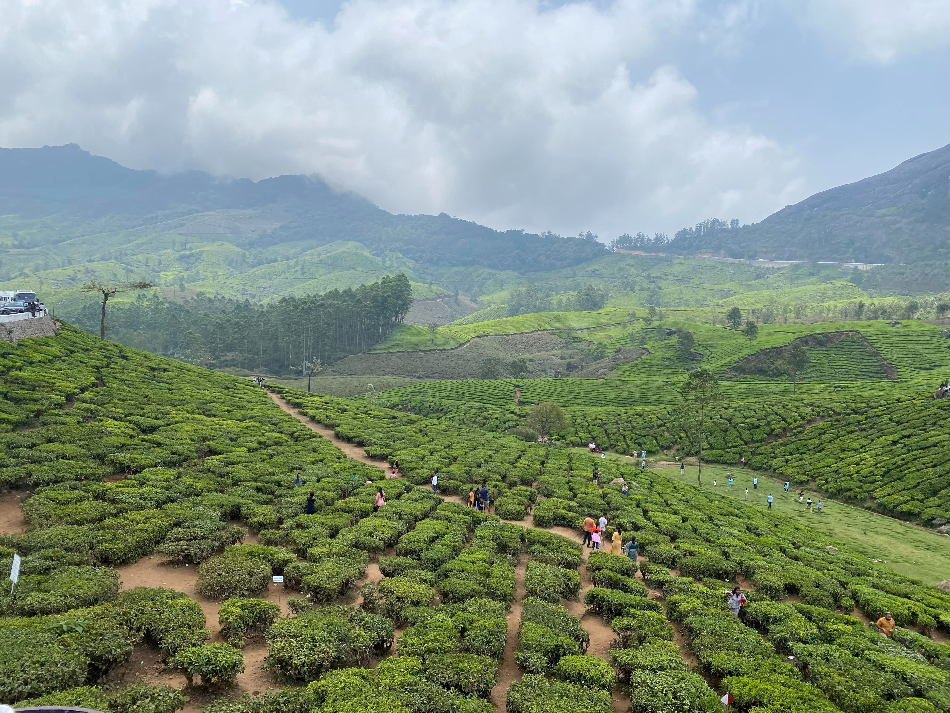 Manideep’s Family Trip to Munnar with Thrillophilia