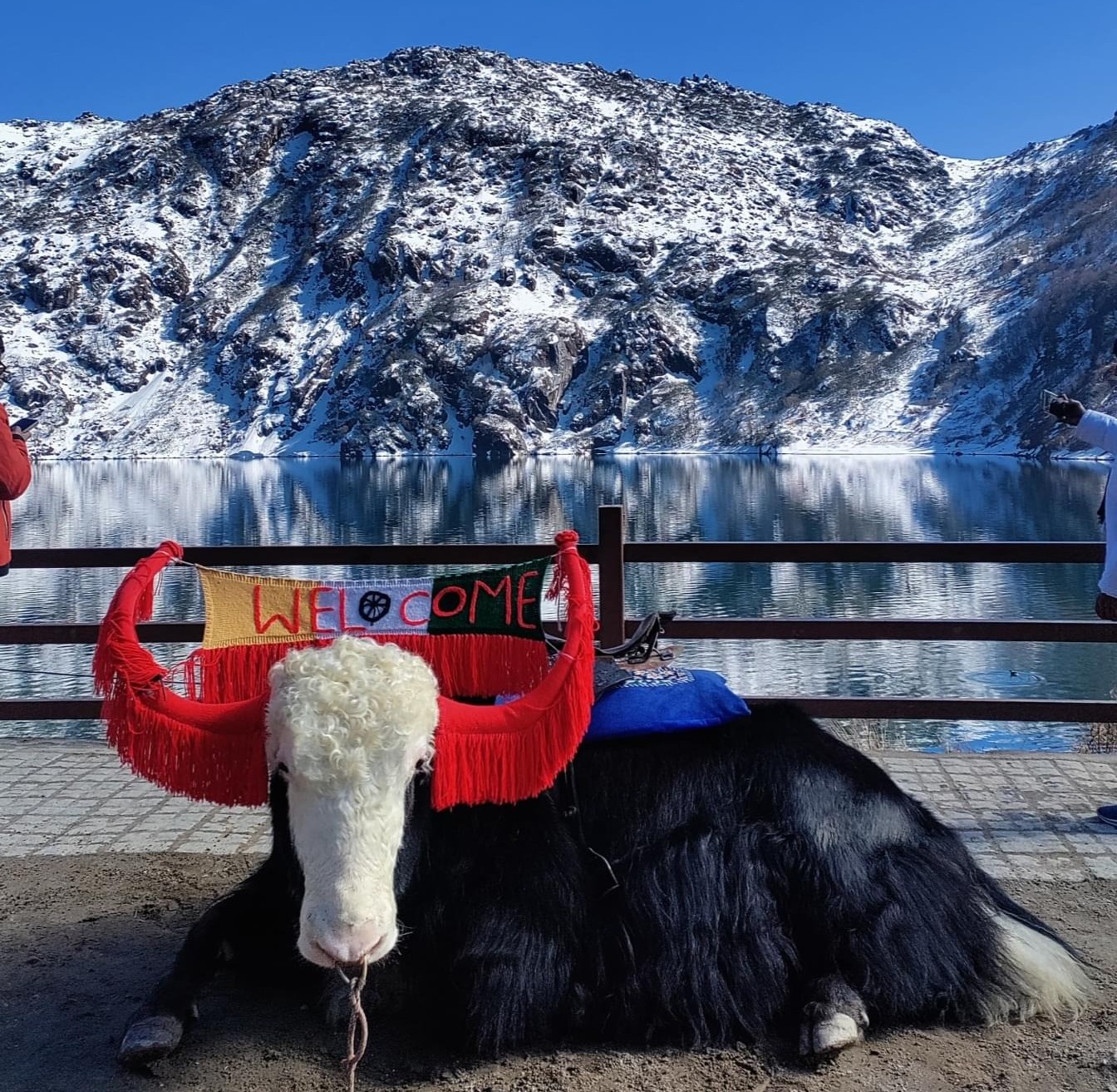 Wanderlust in the Hills of North East: Mansi’s trip with Thrillophilia