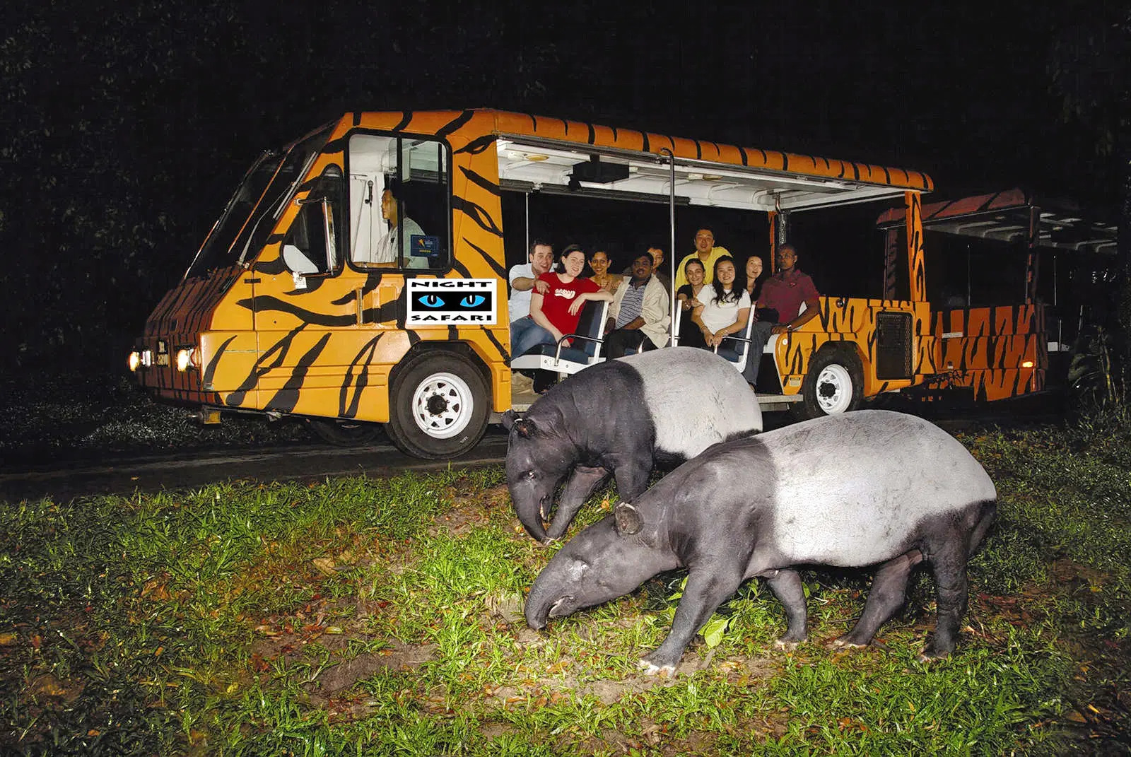 Thrillophilia Review: Ahmad’s Family Journey through Singapore Night Safari