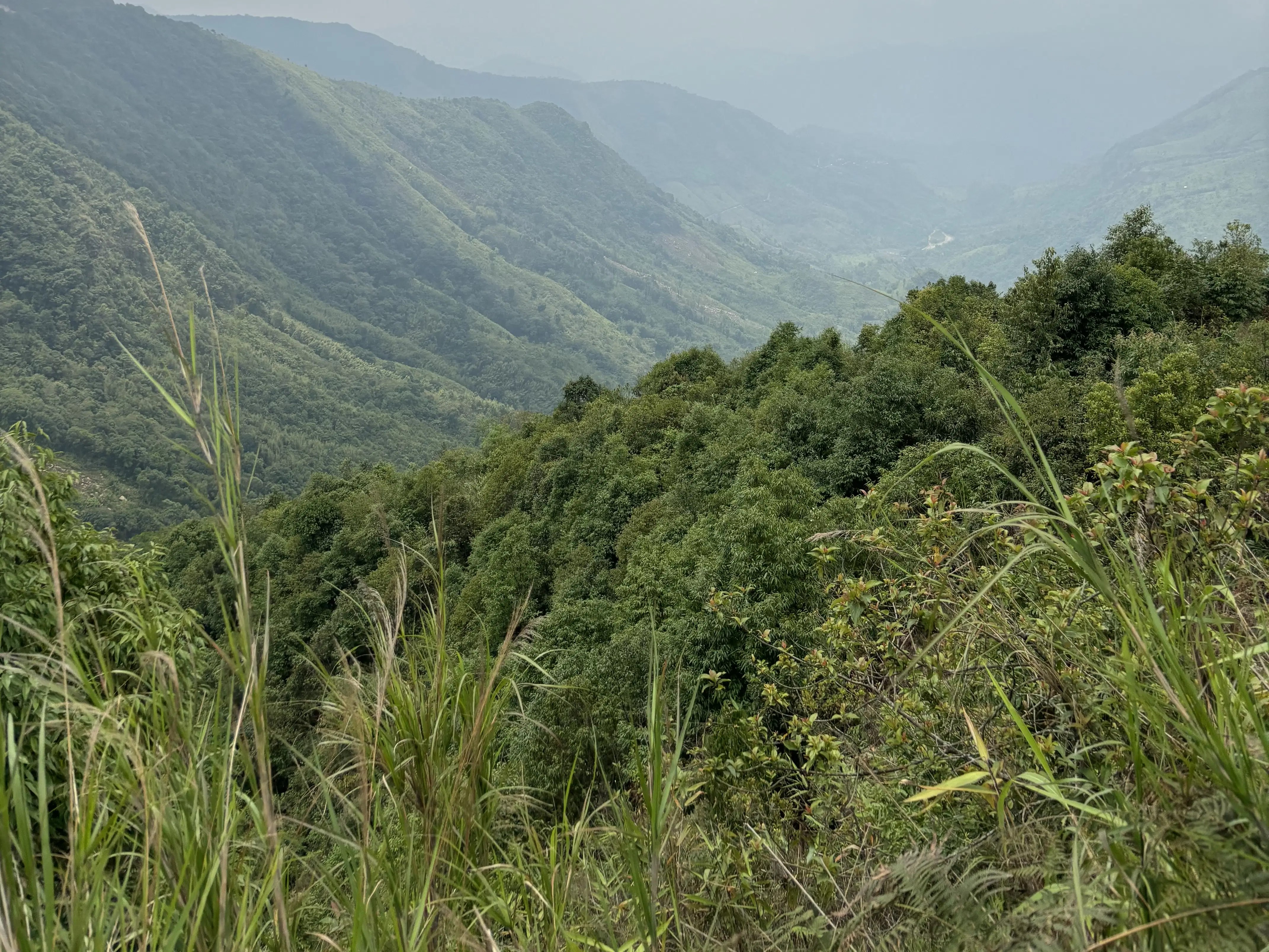 Thrillophilia Reviews: Sumit’s Solo Meghalaya Journey